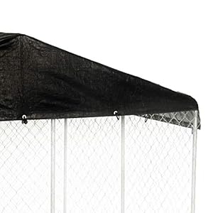 10-x-10-Foot-Waterproof-Gable-Design-Protective-Roof-Cover-With-Steel-Frame-for-Dog-Run-Kennel-Cover-Only-2-Pack - Cucciolini Doodles 10-x-10-Foot-Waterproof-Gable-Design-Protective-Roof-Cover-With-Steel-Frame-for-Dog-Run-Kennel-Cover-Only-2-Pack