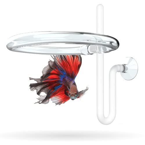 Invisible Feeding Ring (Customizable and Auto-Leveling) Food Portal for Floating Plant Aquariums and...