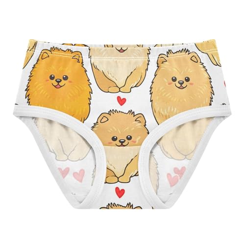 Cotton Toddler Underwear Floral Cute Cartoon Pomeranian Dogs Girl Panties Cute Animals Briefs Undies Kids 2t