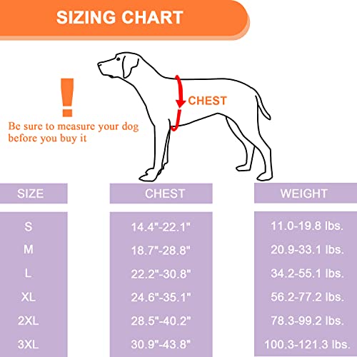 Coodeo Dog Lift Harness, Full Body Support & Recovery Sling, Pet Rear Leg Support Rehabilitation Lifts Vest, Dog Carrier For Senior Dogs With Joint Injuries, Arthritis, Paralysis Up Stairs (Large) #TOP5