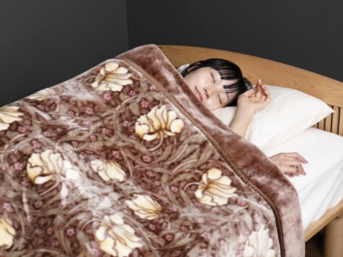 ロマンス小杉 ダブル毛布 アクリルニューマイヤー 軽量 ブラウン V＆A