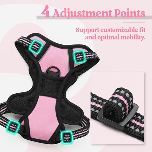 Image of rabbitgoo Dog Harness No Pull with 2 Leash Clips, Adjustable Soft Padded, Reflective Oxford No Choke Pet Vest with Easy Control Handle for Puppy, Pink, XS