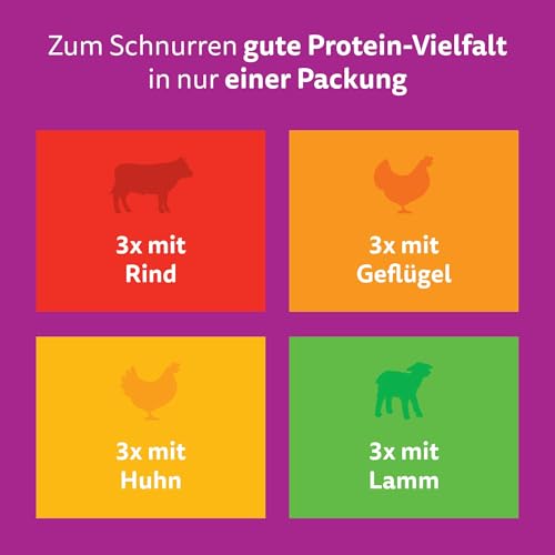 Whiskas 1+ Katzennassfutter Klassische Auswahl in Sauce, 12x85g (4 Packungen) – Hochwertiges Nassfutter für ausgewachsene Katzen in 48 Portionsbeuteln