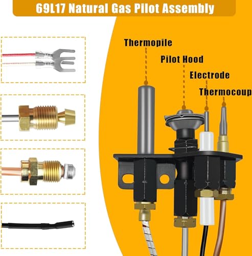 Ensemble pilote au gaz naturel 69L17 d'une robustesse maximale