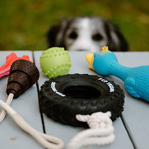 E-Snap, Dog Toys, 5-Piece Set, Dog Toy Bundle, High End Chew Toys, All Natural And Safe Chew Toys, Great Value Set, Luxury Dog Accessories Hand-Picked From Top Manufacturers. #TOP6