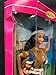 American Indian Barbie American Stories Collection Collector Edition [Toy]