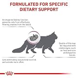 Royal Canin Veterinary Renal Select | 4 kg | Diät-Alleinfuttermittel für Katzen | Kann zur Unterstützung der Nierenfunktion bei chronischer Niereninsuffizienz beitragen