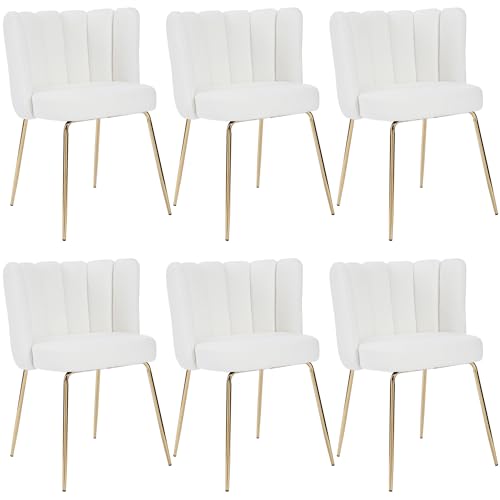 Velvet Barrel Dining Chairs Set of 2 Modern Accent Chairs Upholstered Host Side Chairs with Gold Metal Legs for Home Kitchen Living Room, Rose