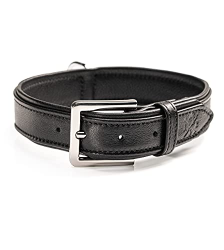 Il nostro regalo: riceverete 