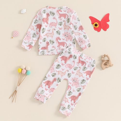 Toddler Baby Girl Fall Winter Clothes Dinosaur/Butterfly/Chicken Print Long Sleeve Crewneck Sweatshirt Pants Set3