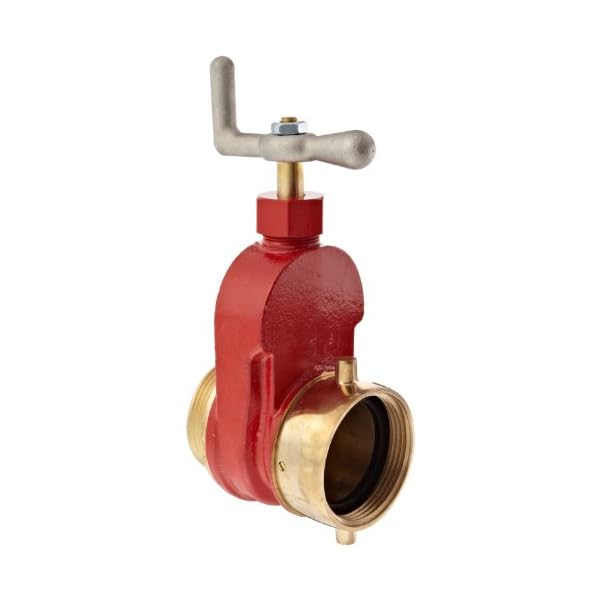 Dixon Valve & Coupling HGV250F Brass Single Hydrant Gate Valve, 21/2
