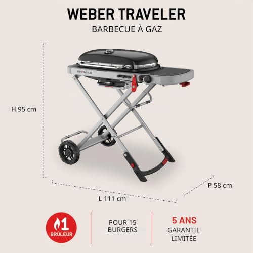 Traveler - vue 6