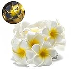 plumeria rubra l Geeignet zum Dekorieren von Decken, Schlafzimmern, Hotels, Geschäftsgebäuden, Clubs, Bühnen usw.