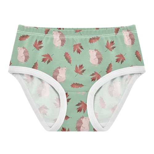 Little Girl Underwear Toddler Panties Kids Undies Hedgehogs Soft Cotton Briefs 2T-8Y