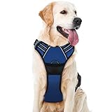 🐕【100% ZUFRIEDENE GARANTIE】--- Wir verpflichten uns, unseren Kunden qualitativ hochwertige Produkte und das beste Einkaufserlebnis zu bieten. Wenn Sie auf ein Problem stoßen oder in irgendeiner Weise unzufrieden sind, senden Sie uns einfach eine E-Mail und wir werden die beste Lösung anbieten. Alle Probleme werden innerhalb von 24 Stunden gelöst.