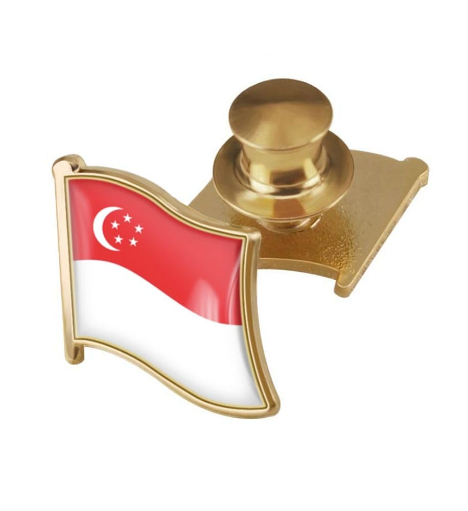 vmcoatdu Country Flag Backs Locking Pin Keepers Locking Clasp Pin Badge International Travel Brooch Metal Alloy Souvenir Pin 0.75x0.7 Inch Small Pin