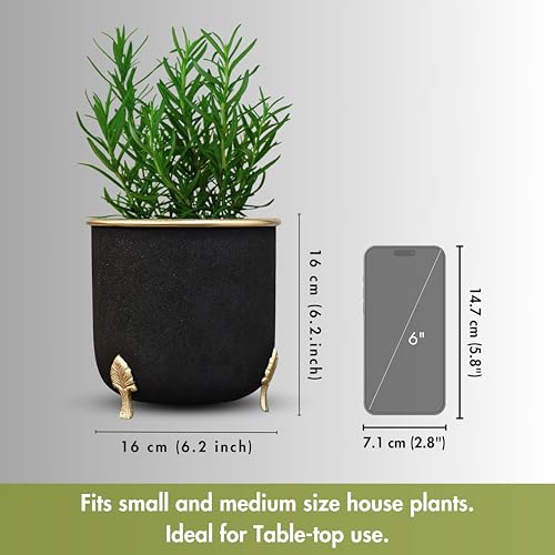 Image of BEHOMA Black Metal Leaf Leg Planter 6 inch Tabletop Planter | Pot for Indoor Outdoor Balcony Living Room | Table Plant Pot with Leaf Leg for Gifting