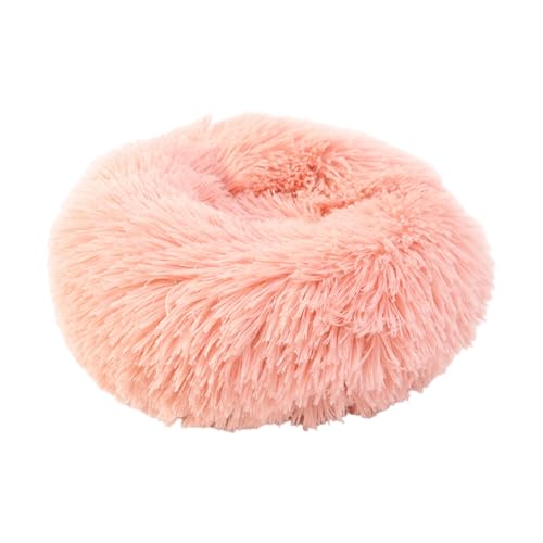 MjA̓؂̃nX^[ƃX̏ȃybgNbVƃX́AA`Xbv{gP[W̑ꂽ؂Ȃʂ݃xbhAʂ݃ybgxbhĂ܂