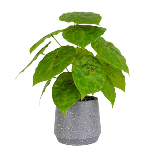 Veryhome Planta artificial artificial en maceta, plantas suculentas falsas en maceta de 32 cm, planta verde falsa grande para decoración del hogar, escritorio, sala de estar