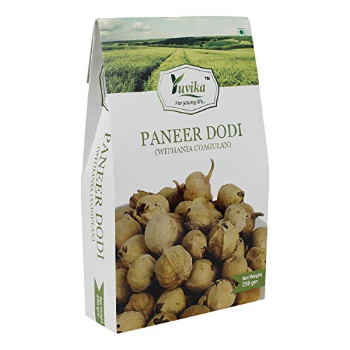 YUVIKA Paneer DODI – Paneer Ke Phool – Withania Coagulan YUVIKA Paneer DODI – Paneer Ke Phool – Withania Coagulan
