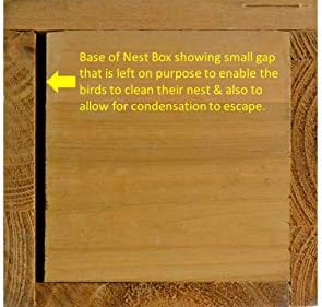 Supa Wild Bird Multi-Purpose Nesting Box | Can Be Either Open Fronted Or A Traditional Nest Box | Suitable For Many Different Species Of Garden Birds