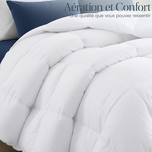 Couette 220x240 cm Lit 2 Personnes Utopia Bedding Toute Saison Blanc