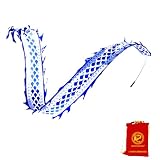 DSJUGGLING 3 Meters (9.8 FT) Blue Celadon Dragon Ribbon Poi with Wand, Outdoor Flinging Fitness Dragon Dance Blue Dragon Ribbon Streamer with Fiberglass Handstick + Travel Bag!