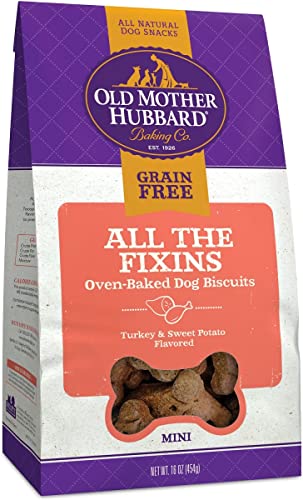 10 Best Treats For Older Dogs