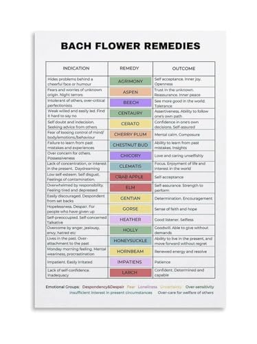 Flower Essences Chart Guide Poster Emotional Healing Remedies Wall Art Calming Floral Print for Room Decor Meditation Space(Fram