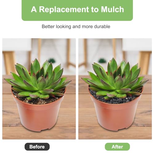 Image of 5 lbs Pebbles for Indoor Plants, Succulent, Cactus, 1 /5 Inch Small Lava Rock for Plants Drainage, Natural Horticultural Volcanic Rock, Top-Dressing