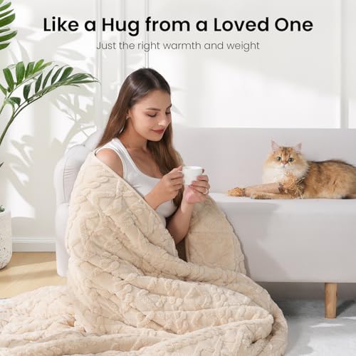 Image of Drewin Weighted Blanket Queen Size 17lbs, Classy Soft Jacquard Sherpa Weighted Blankets for Sleep Natural and Calming, Ultra-Cozy Sofa Bed Blanket for Winter, Beige, 60 x 80 inches