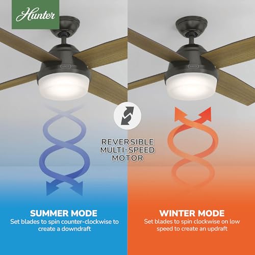 Image of Hunter Dempsey, Indoor, Ceiling Fan, Modern, Quiet, 52 inch, Noble Bronze