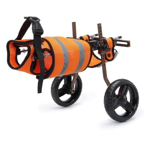 Silla de ruedas para perros medianos y pequeños: carrito naranja regulable de patas traseras.