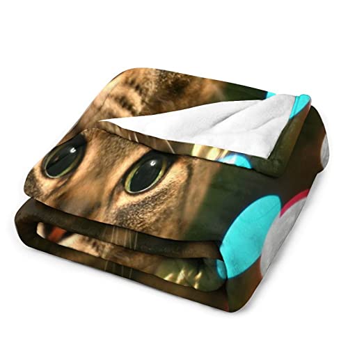 Alibiffy Cat-Animals-Christmas Design Full-Color Printing, Flannel Material, With Light And Breathable, No Shedding, Anti-Pilling, Anti-Wrinkle Quality Blanket 30"X40" #TOP2