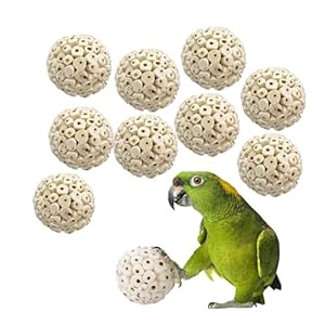 JOYNAGAR Natural Sola Wood Atta Ball Birds Foraging Toys for Cockatiels, Parrots, Budgies, Conures | 6 cm | Pack of 10 Pcs (Standard)