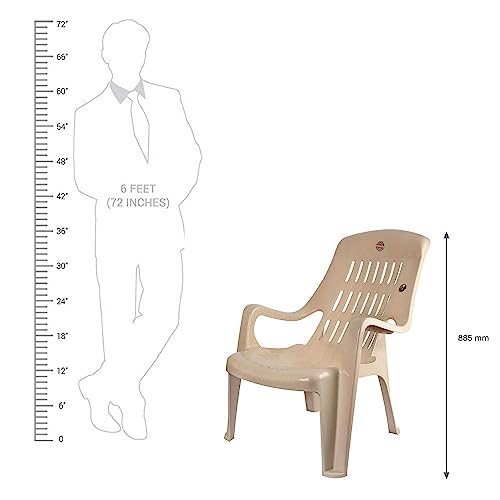 Image of Cello Plastic Comfort Sit Set of (2 Chairs) (M. Beige) | Strong and Durable | Easy to Clean | Chair for Living Room, Bed Room, Kitchen, Office Room, Outdoor | 3 Years Warranty