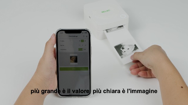 Nelko Stickerprinter, PM230 Mini Printer Bluetooth Draagbare Sticker Maker met 1 Rol Papier, Print Pods met Meerdere Sjablonen voor Telefoon & Tablet, Groen
