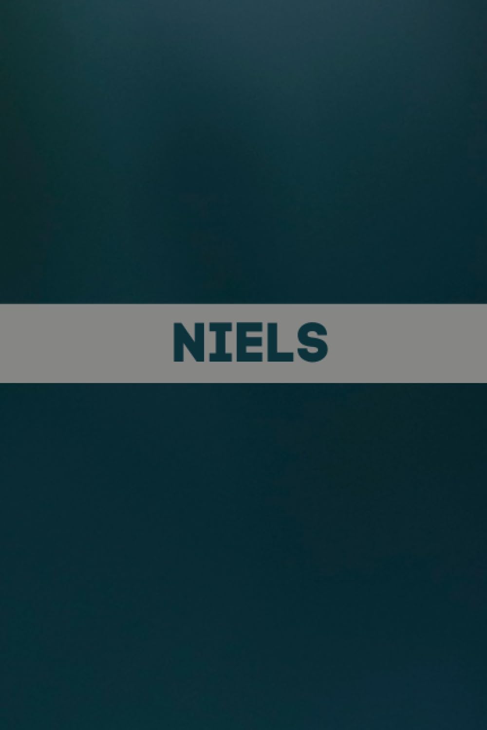 Niels: Carnet de notes unique et personnalisable comme un Cadeau d'anniversaire pour le prénom Niels