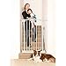 Dreambaby Chelsea Extra-Tall Auto-Close Security Baby Safety Gate - White-Model F190W