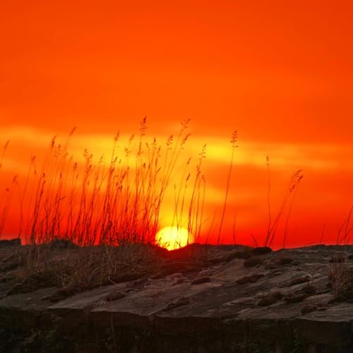 Hypnose guid&eacute;e : 🔥 Le Feu Int&eacute;rieur - D&eacute;veloppement de la confiance en soi