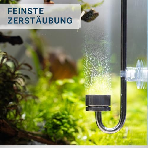 Q-Grow CO2 Diffusor Aquarium aus Edelstahl, mit wechselbarer Keramikscheibe, inkl. 2m Schlauch - Variable Länge