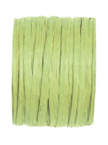 Mallard Ferriere-RAPHIA P/200 M VERT ANIS