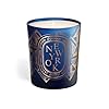 Diptyque new york city candle 67 oz  urban country home decor