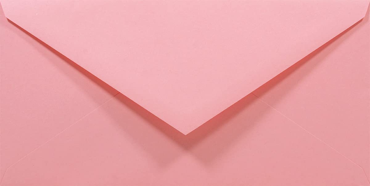Netuno 1000 Pink Coloured envelopes DL 110 x 220 mm 4.33 x 8.66 in 80gsm Rainbow Decorative Envelope Colourful Long envelopes for Letters Flyers Business Cards Birthdays Weddings — image 1