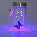 KIDELI Butterfly Collection in a Jar, Butterfly Jar That Moves, LED Light Romantic Glass Animated Butterfly in a Jar Gift Decoration (Blue)