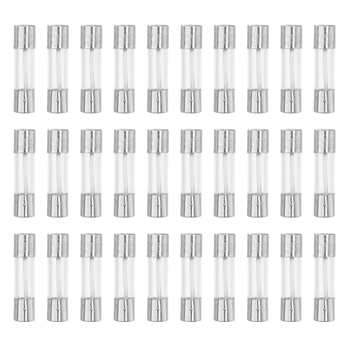 Quarkzman 25A Feinsicherungen Set 30 Stück