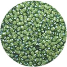 Amazon.com: Miyuki Delica 11/0 Cylinder Seed Beads - White Lined