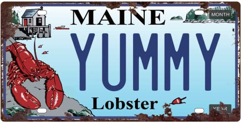 - Lot von 5 US-Metall-Autonummernschildern mit gealterter Wirkung - Nachbildungen echter amerikanischer Nummernschilder und der des Films: Zurück in die Zukunft / OLD5