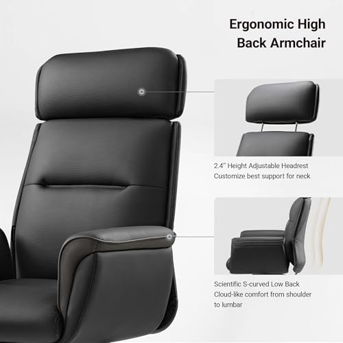 Image of EUREKA ERGONOMIC Royal Ergonomic Office Chair Executive Desk Chair, Microfiber Leather High Back Executive Chair Comfy Ergonomic 360 Swivel with Lumbar for Home Workshop- Black