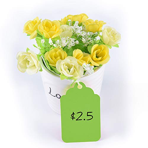 Brothersbox Green Price Tags 240pcs, Matte Tags with Strings Attached Marking Merchandise Hang Tags Labels for Christmas Gifts Jewelry Clothing Garage Yard Rummage Sale Supplies 1.69 x 2.75 inch